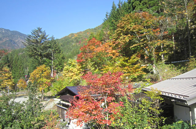 客室から見た景色一例